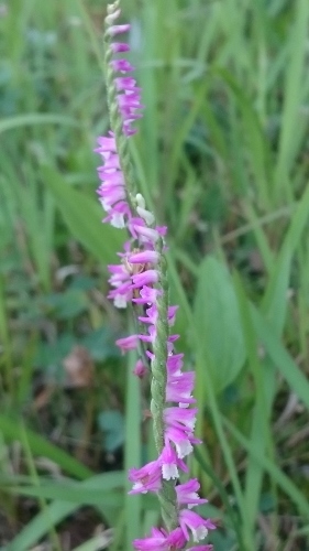 e0351303_11061443.jpg