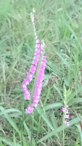 e0351303_11071116.jpg