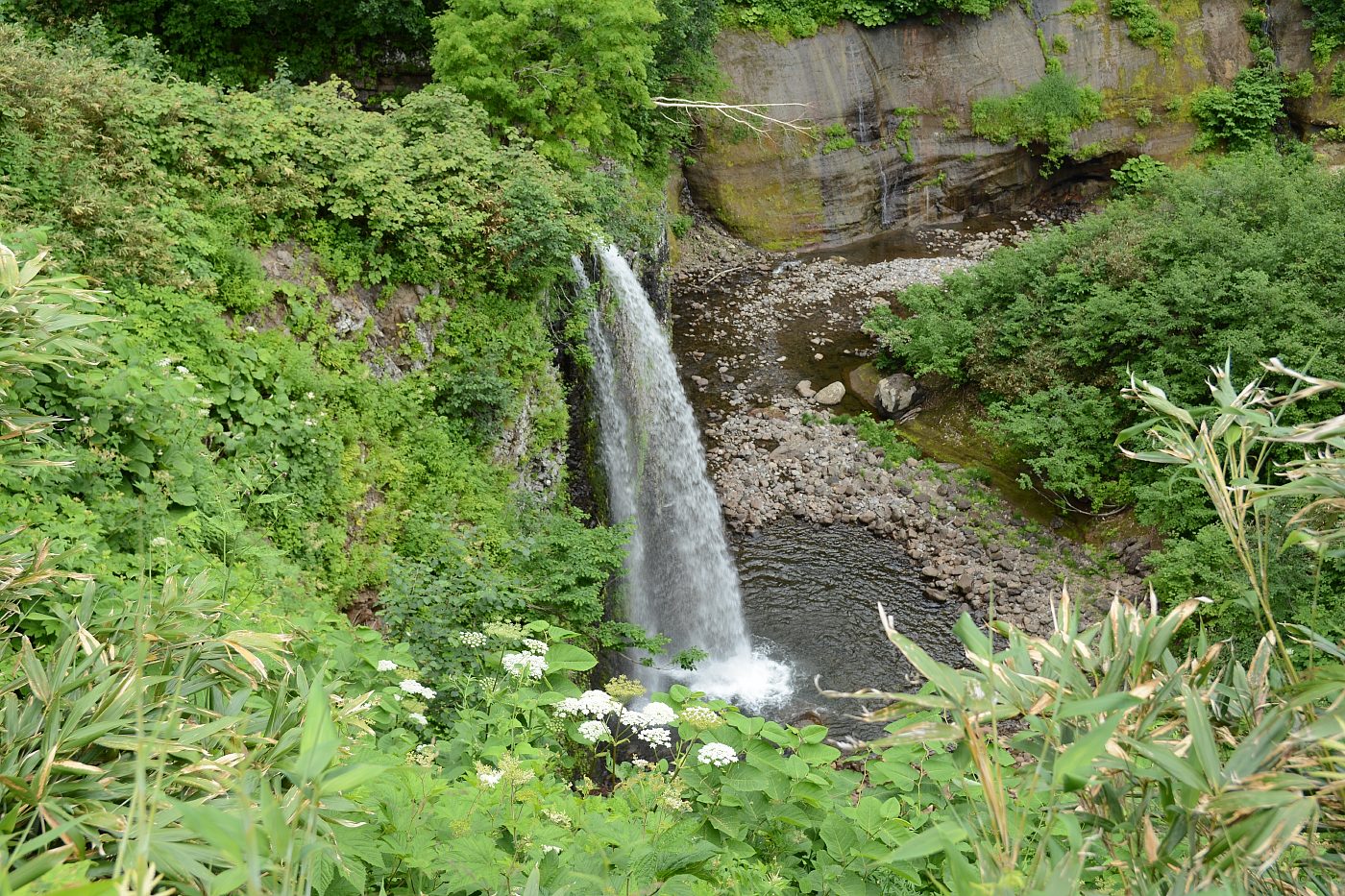 a0248508_901339.jpg