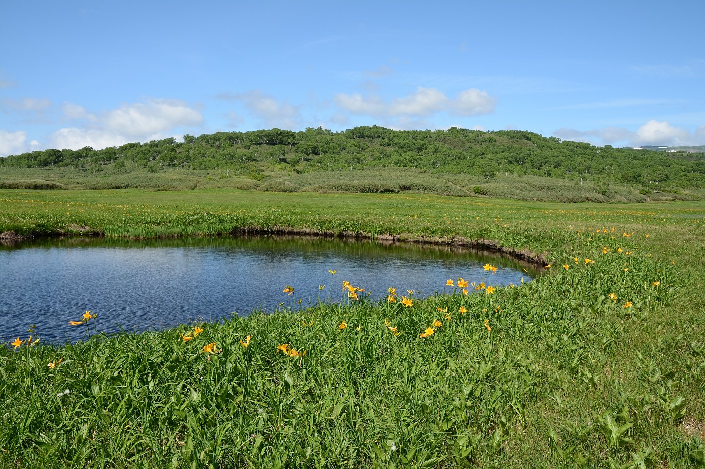 a0248508_9112053.jpg