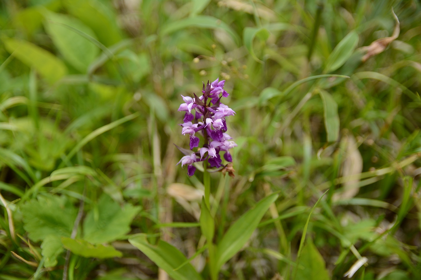 a0248508_92391.jpg