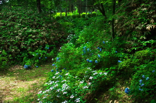 a0263109_14222428.jpg