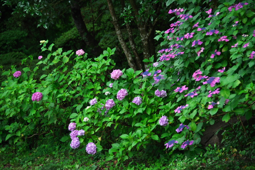 a0263109_14233521.jpg