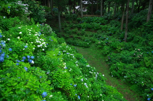a0263109_14272744.jpg