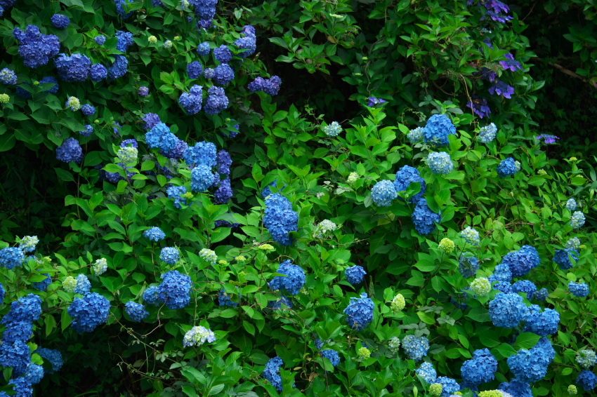 a0263109_14280272.jpg