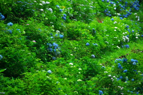a0263109_14291946.jpg