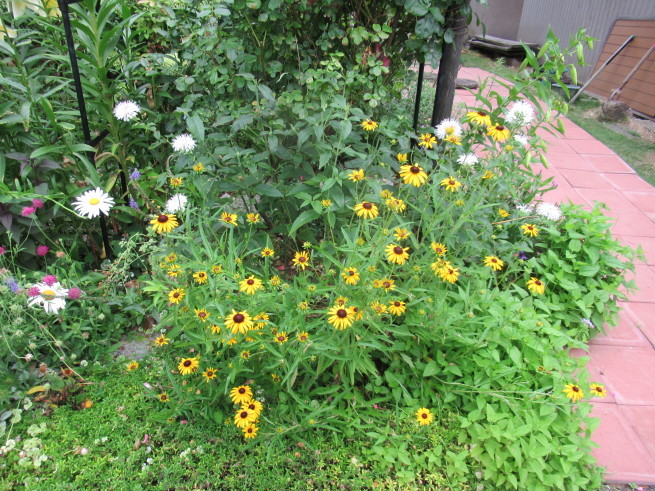 f0297809_21090873.jpg