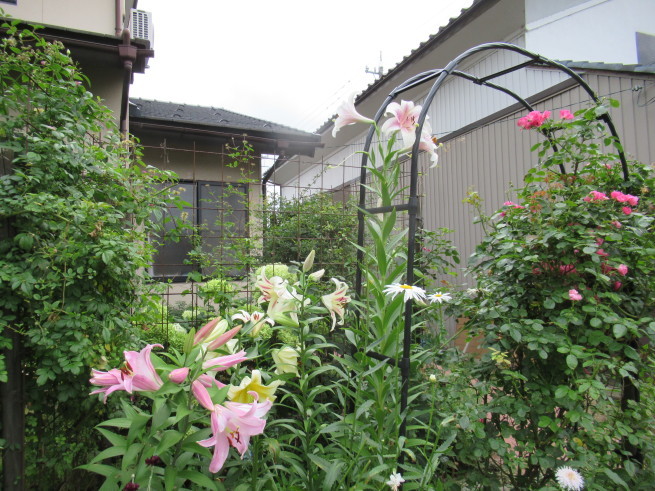f0297809_21151472.jpg