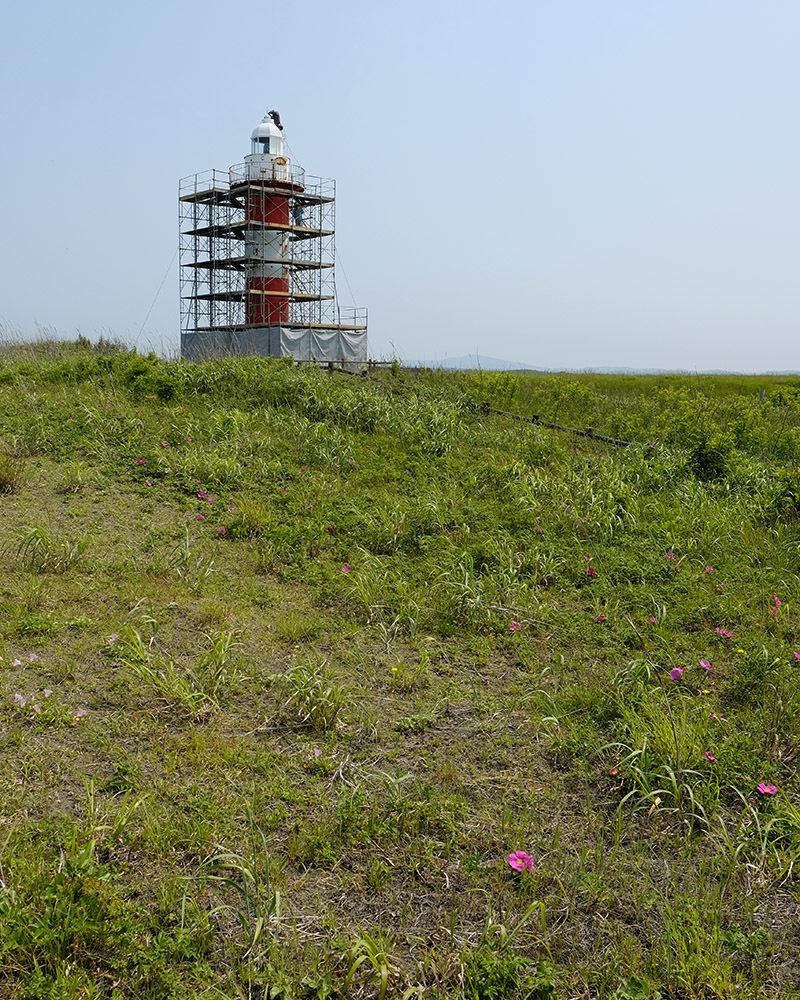 c0082715_09033946.jpg
