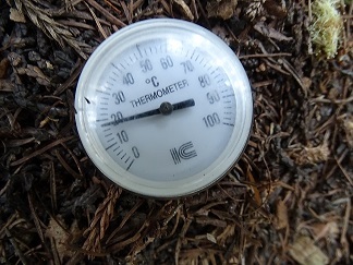 f0360815_16350663.jpg