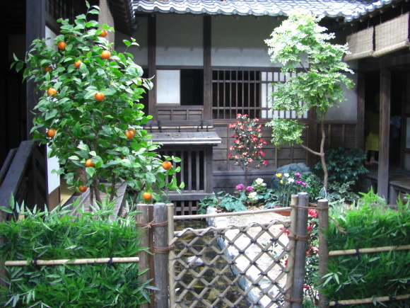 c0074721_15264446.jpg
