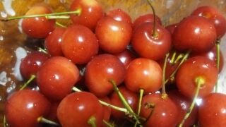 c0109322_8441499.jpg