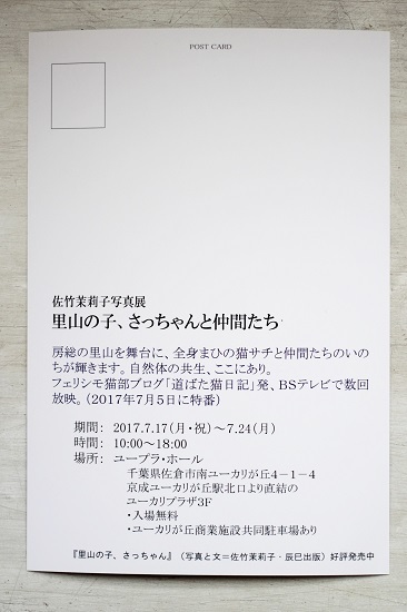 e0364523_13482690.jpg
