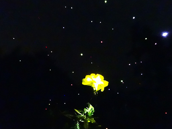 e0192725_06141829.jpg