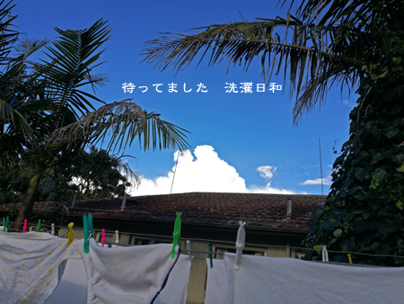 d0042827_16473570.jpg