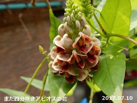 e0033229_180092.jpg