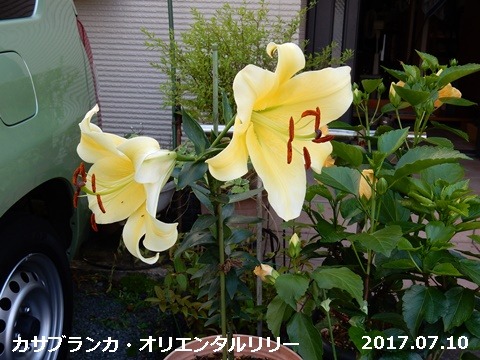 e0033229_188114.jpg