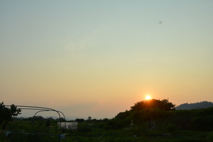 c0172234_23314479.jpg