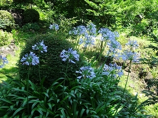c0147935_22102932.jpg