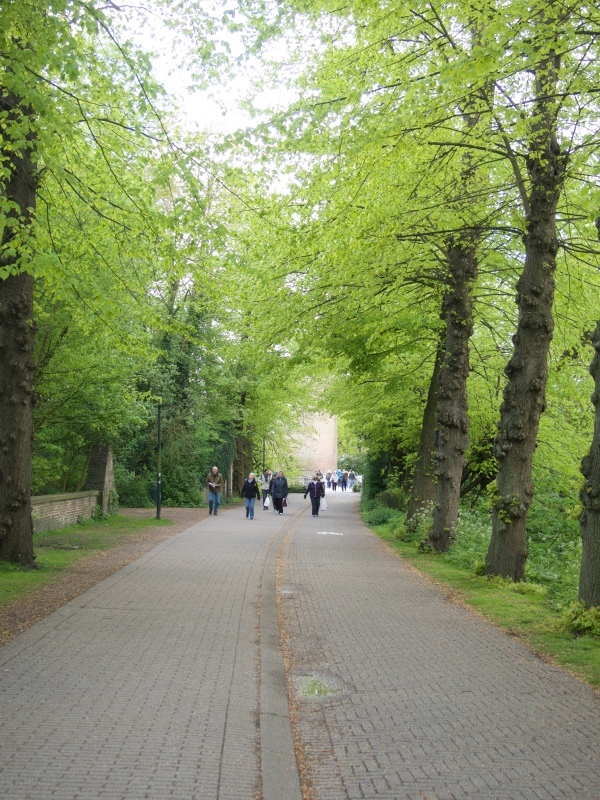 e0211739_17242242.jpg