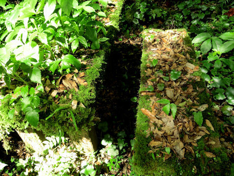 f0302140_13584316.jpg