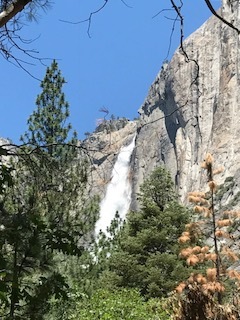 e0195345_10582868.jpg