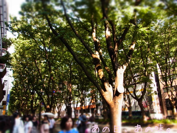 a0305046_09211897.jpg