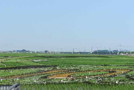 e0172950_2115127.jpg