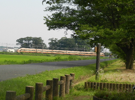 e0172950_21155181.jpg