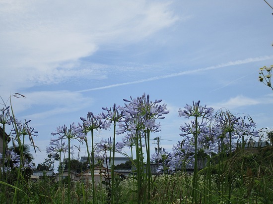 c0327752_14231183.jpg