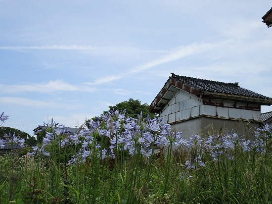c0327752_14254735.jpg