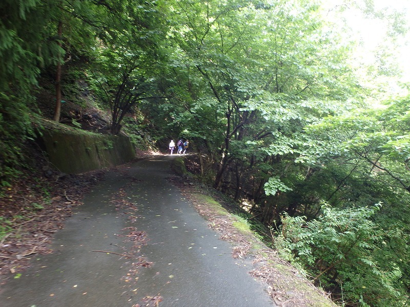 c0097754_17440958.jpg