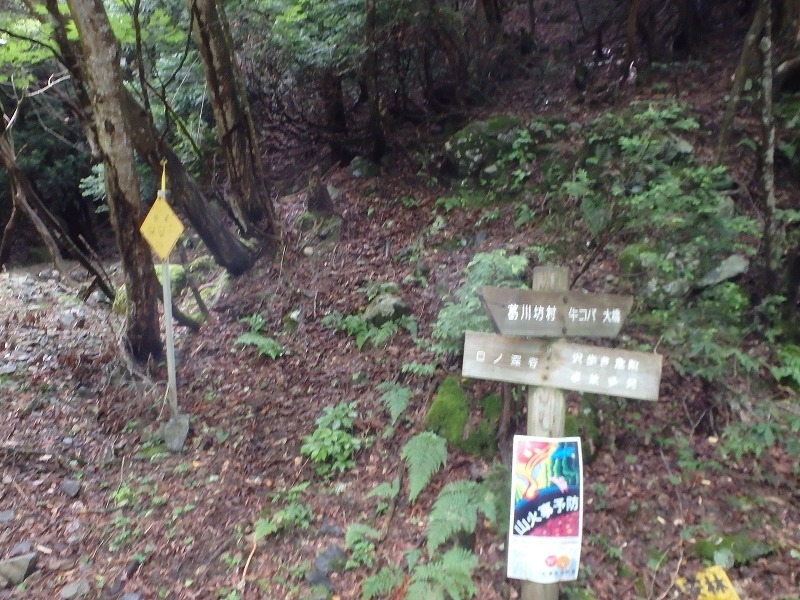 c0097754_17464316.jpg