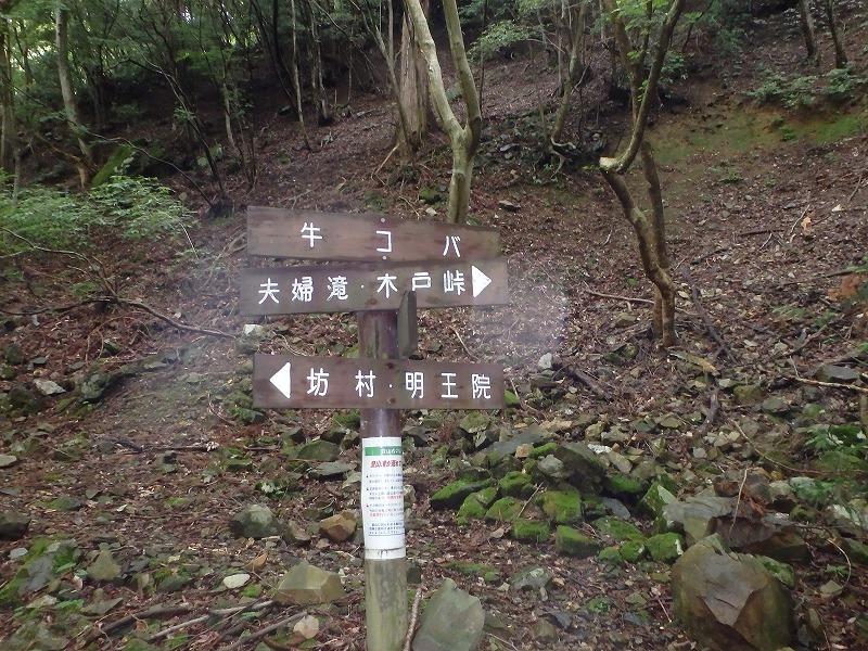 c0097754_17485156.jpg