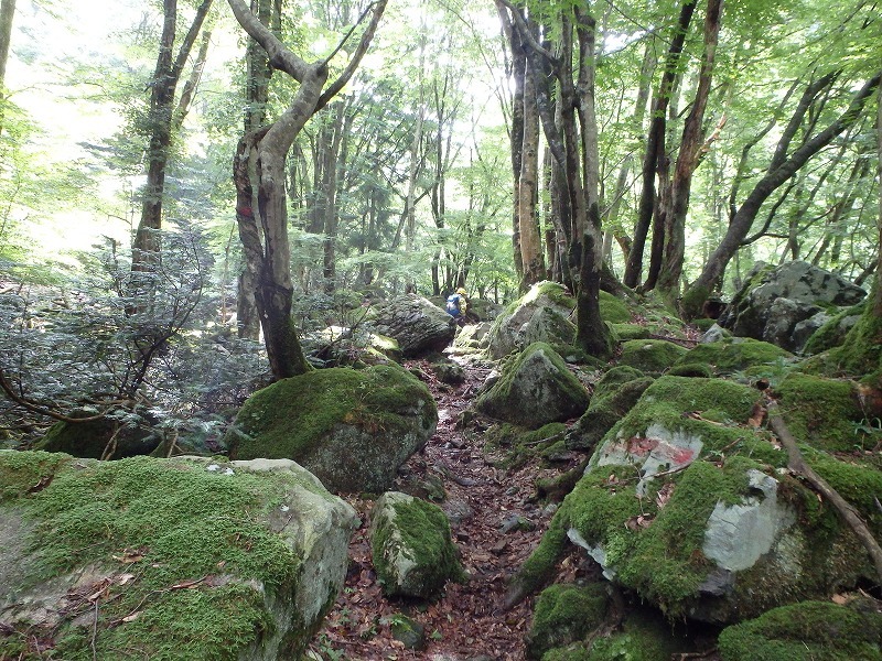 c0097754_17492768.jpg