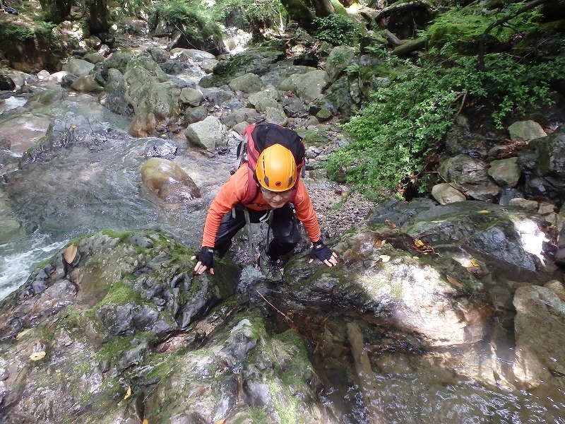c0097754_17592261.jpg