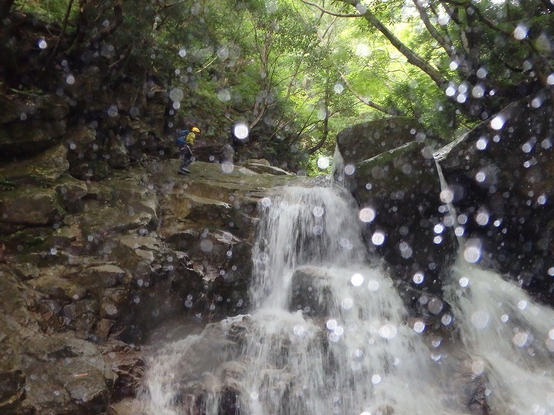c0097754_18122967.jpg