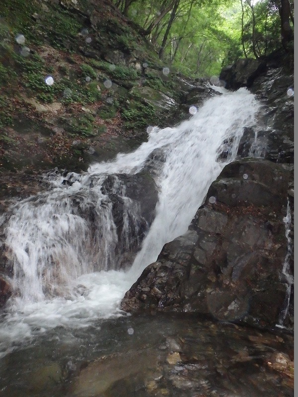 c0097754_18215378.jpg