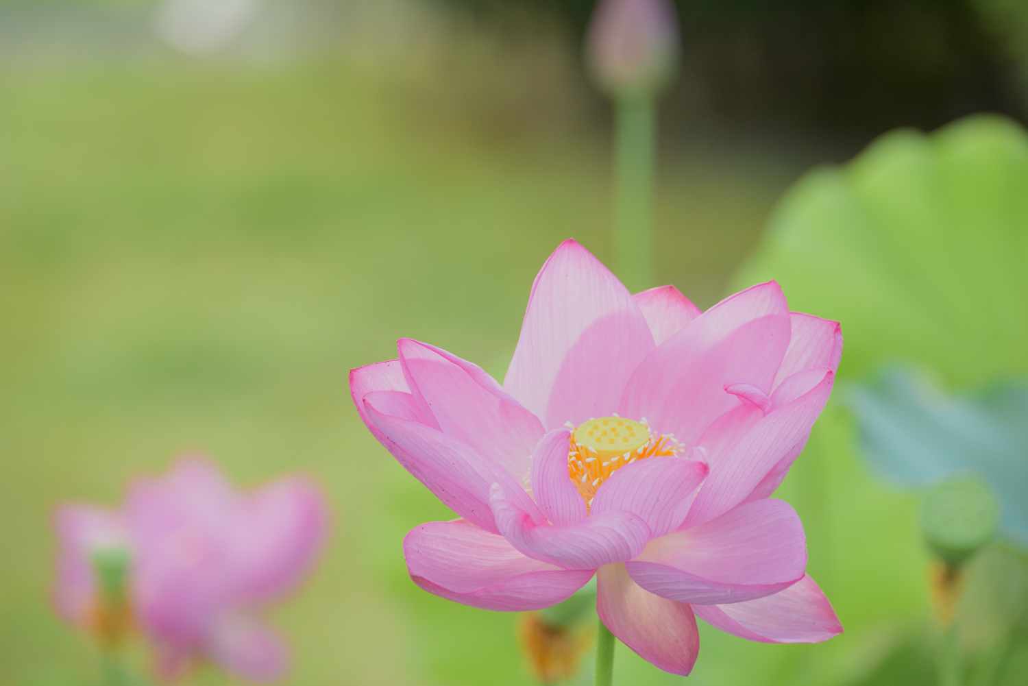 d0286954_17573013.jpg
