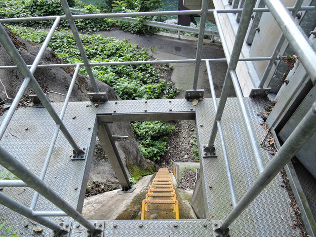 c0116856_06553697.jpg