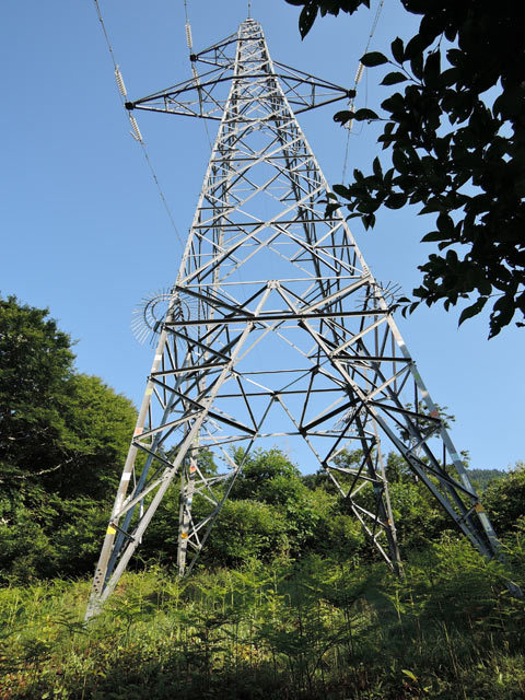 c0116856_06555846.jpg