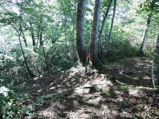 c0116856_06563636.jpg