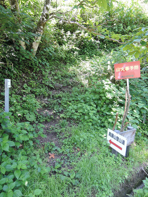 c0116856_07001811.jpg