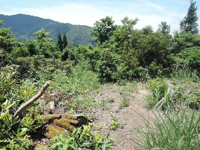 c0116856_07010057.jpg