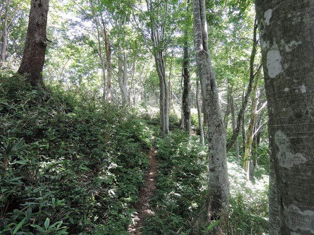 c0116856_07010976.jpg