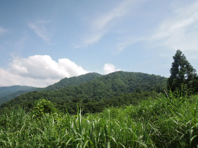 c0116856_07013157.jpg