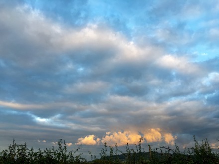 a0199262_09181094.jpg