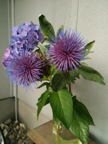 a0111166_08451798.jpg