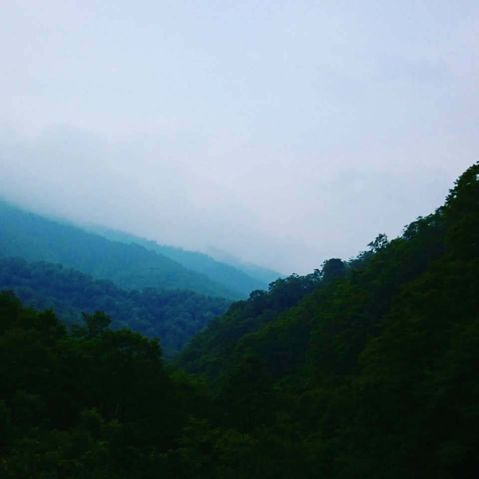 a0097967_22492310.jpg