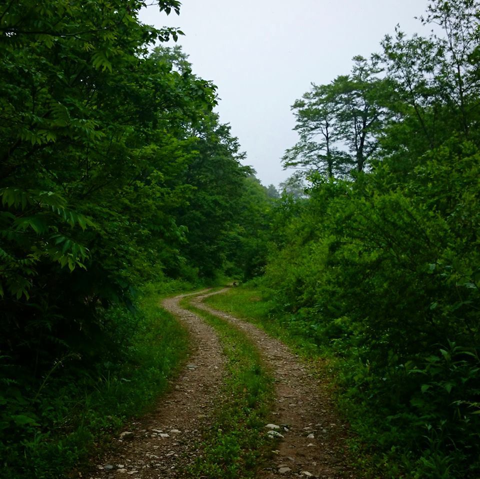 a0097967_22514164.jpg